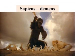 Sapiens demens Sapiens demens A era do crebro
