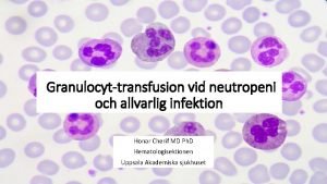 Granulocyt transfusion vid neutropeni och allvarlig infektion Honar