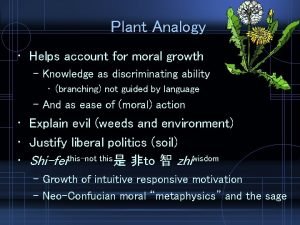 Plant analogy