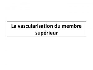 La vascularisation du membre suprieur Introduction Artres sont