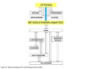 Traslocone sec