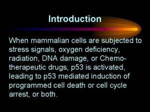 Introduction When mammalian cells are subjected to stress Introduction When mammalian cells are subjected to stress