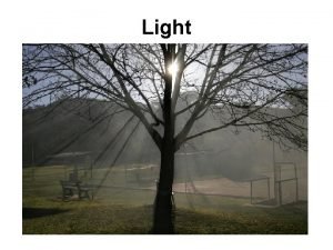 Facts about light and sound