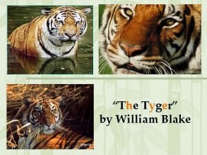 The tyger literary devices