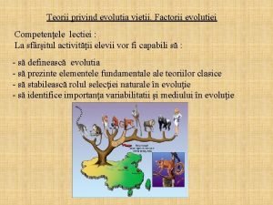 Teoria sintetica a evolutiei