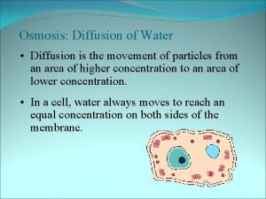 Osmosis Diffusion of Water Diffusion is the movement