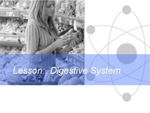 4 parts of digestive system