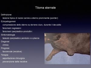 Tiloma sternale Definizione lesione tipica di razze canine