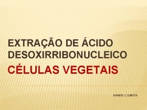 EXTRAO DE CIDO DESOXIRRIBONUCLEICO CLULAS VEGETAIS IVANISE C