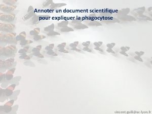 Annoter un document scientifique pour expliquer la phagocytose