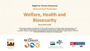 Beginner Farmer Resources Pastured Pork Production Welfare Health