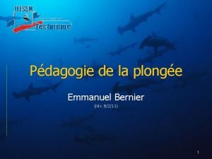 Pdagogie de la plonge Emmanuel Bernier rv 8211
