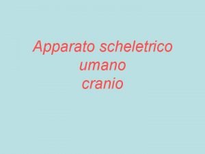 Apparato scheletrico umano cranio cranio Colonna vertebrale clavicola