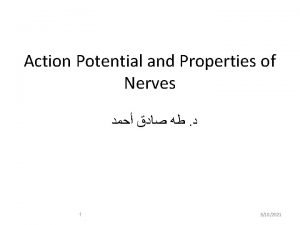 All or none action potential