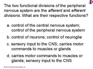 The two functional divisions of the peripheral nervous