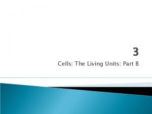 3 Cells The Living Units Part B Membrane