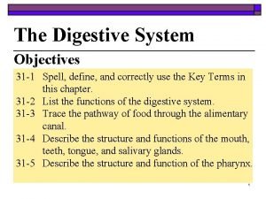 How to spell digestive system