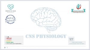 Text Important Formulas Numbers Doctor notes Extra notes