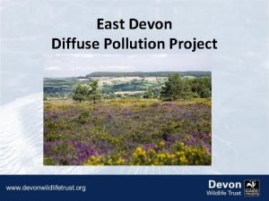 East Devon Diffuse Pollution Project The 3 5