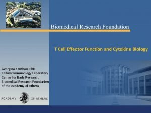 T Cell Effector Function and Cytokine Biology Georgina