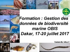 Formation Gestion des donnes de biodiversit marine OBIS