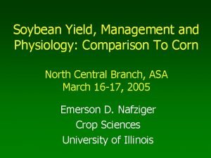 Soybean Yield Management and Physiology Comparison To Corn