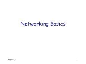 Networking Basics Appendix 1 Network q Includes o
