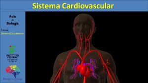 Sistema Cardiovascular Aula de Biologia Tema Sistema Circulatrio