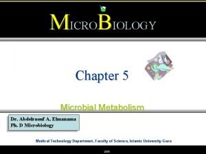 Chapter 5 microbial metabolism