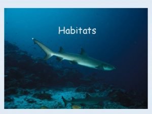 What is habitat