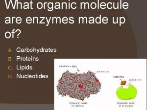 Enzymes are composed of what organic molecule