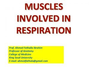 MUSCLES INVOLVED IN RESPIRATION Prof Ahmed Fathalla Ibrahim