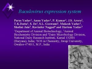 Baculovirus expression system Paras Yadav 1 Annu Yadav