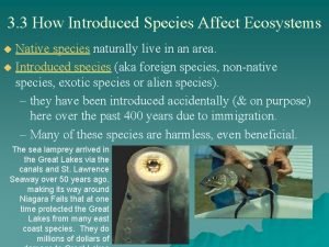 3 3 How Introduced Species Affect Ecosystems Native