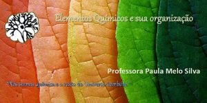Elementos Qumicos e sua organizao Professora Paula Melo