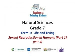 Grade 7 natural science term 1
