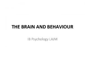 Neuroplasticity ib psychology