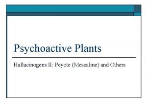 Psychoactive Plants Hallucinogens II Peyote Mescaline and Others