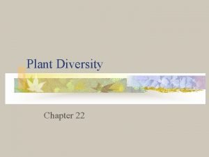 Plant Diversity Chapter 22 What is a Plant