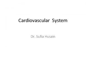 Cardiovascular System Dr Sufia Husain Ischemic Heart Disease