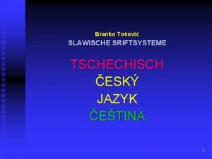 Branko Toovi SLAWISCHE SRIFTSYSTEME TSCHECHISCH ESK JAZYK ETINA