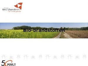 Biobrandstoffen Coperatieve productie van Pure Plantaardige Olie PPO