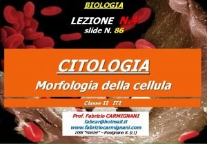 BIOLOGIA LEZIONE N 4 slide N 86 CITOLOGIA