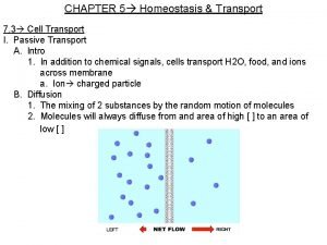 CHAPTER 5 Homeostasis Transport 7 3 Cell Transport