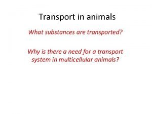Mass transport in animals
