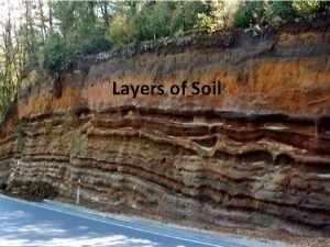Humus topsoil subsoil bedrock