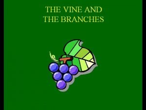 THE VINE AND THE BRANCHES THE VINE AND