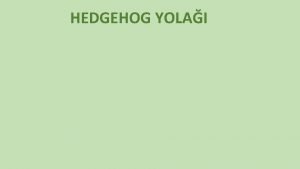 Hedgehog sinyal yolağı