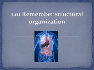 1 01 Remember structural organization 1 01 Remember