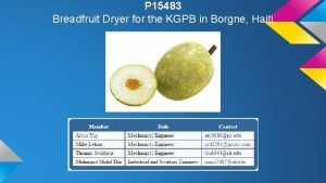 P 15483 Breadfruit Dryer for the KGPB in